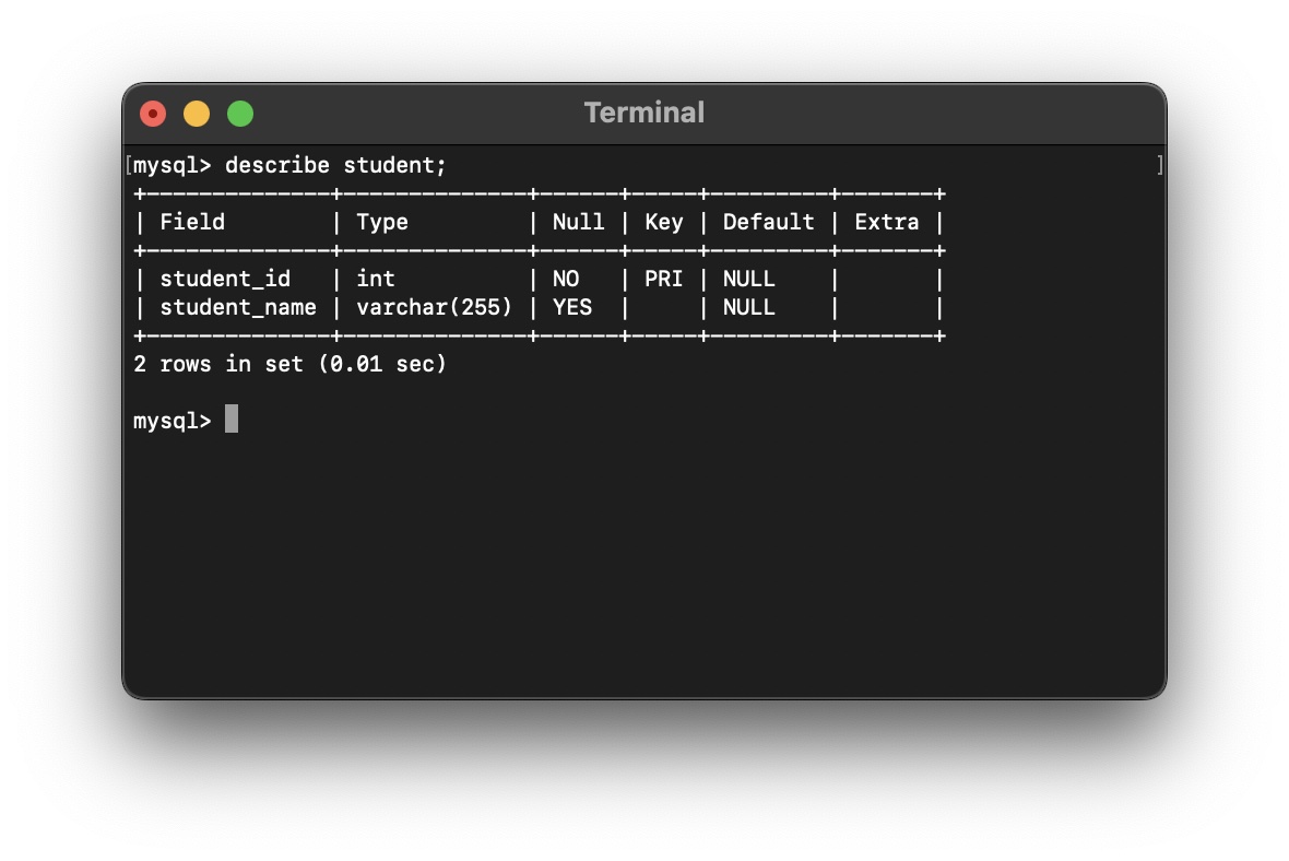 MySQL Query for Schema/Structure of a Table